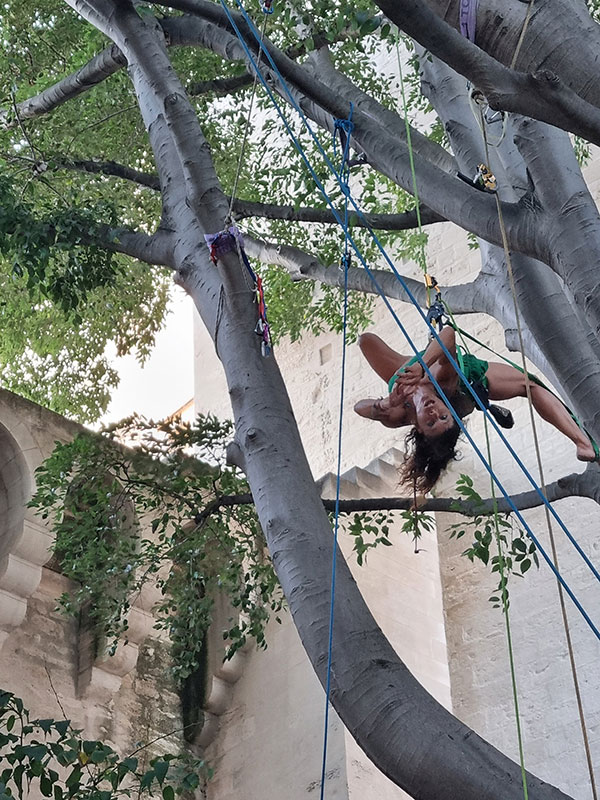 Avignon 2025 acrobate